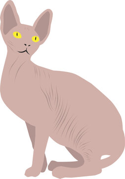 recommend clip art: Cute Sphynx Cat, Pet Animal Cartoon Vector Illustration