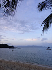 Tropical beach with palm tree at sunset, Koh Samui, Thailand