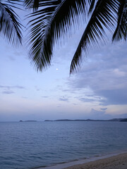 Palm trees on the beach at lavendel colors dusk, Koh Samui, Thailand