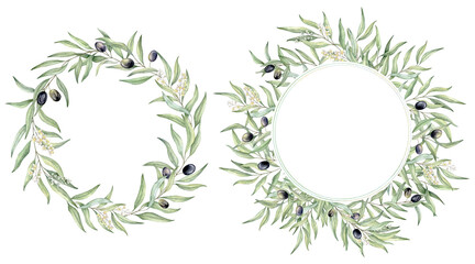 Set of green leaf branches wreaths. Olive berries, greenery foliage, Botanical design element. Hand drawn watercolor illustration for cosmetic branding, greeting card, wedding invitation, pack