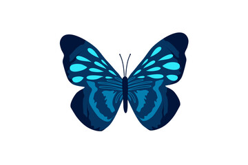 butterfly dark blue abstract vector illustration