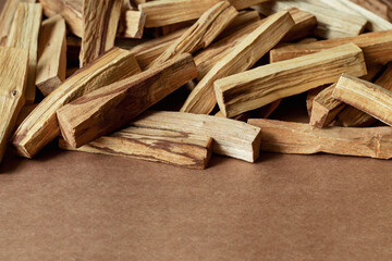 Palo santo holy sacred tree stick