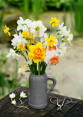 Beautiful spring floristic arrangement with different sorts of daffodils white, yellow, double flowers  in stone mug in the cottage garden. Selective focus.