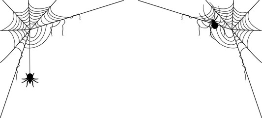 Vector cobweb decoration for halloween and horror stuff