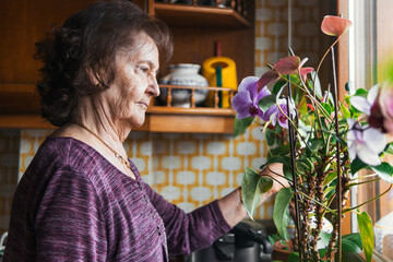 elderly woman looking at her house plants