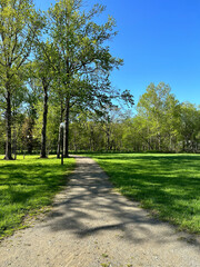 a path in the park crossing the green lawn and leading into the deciduous forest on a sunny day. High quality photo. 23 may 2023, Russia