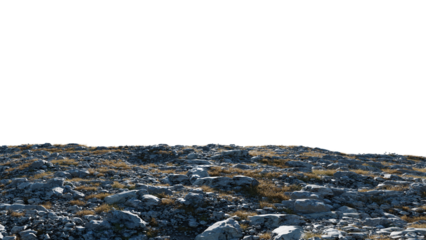 Rocky Ground