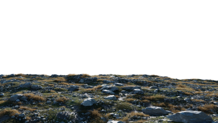 Rocky Ground
