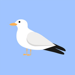 Seagull isolated on background. Flat gull. Vector illustration of sea bird