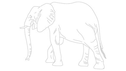 Obraz premium illustration of an elephant