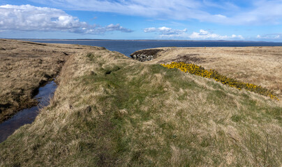 Landscapes and grass at Nose head at nothern scottish coast. Scotland. Northsea coast. Clouds. Sky. 