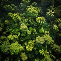 Naklejka premium Jungle Canopy, Generative AI