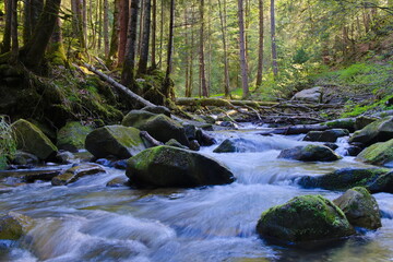 Torrente nei Carpazi