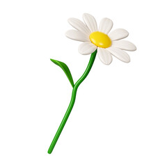 3d daisies flowers .icon isolated on white background. 3d rendering illustration. Clipping path.