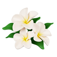 3d frangipani flowers .icon isolated on white background. 3d rendering illustration. Clipping path.