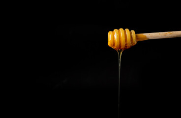 Honey dripping from dipper wooden honey stick over black background