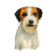 Russell Terrier dog portrait isolated on white. Digital art illustration for web, t-shirt print and puppy food cover design. F.C.I. Jack Russell Terrier with an instinct to hunt prey underground