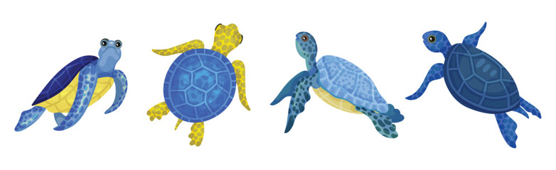 Tropical Turtle Reptile for Freshwater and Saltwater Aquarium Vector Set