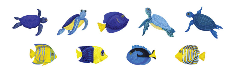 Fototapeta premium Tropical Turtle Reptile and Fish for Freshwater and Saltwater Aquarium Vector Set