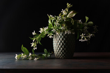 Fiori profumati di gelsomino recisi, in vaso su fondo nero, spazio per testo.