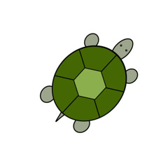 Fototapeta premium turtle