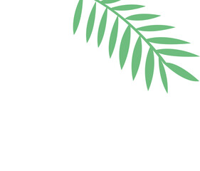 white and green frond