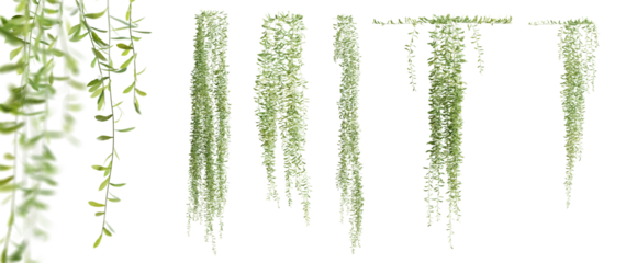 Set of Vernonia Elliptica creeper plant, vol. 1, isolated on transparent background. 3D render.
