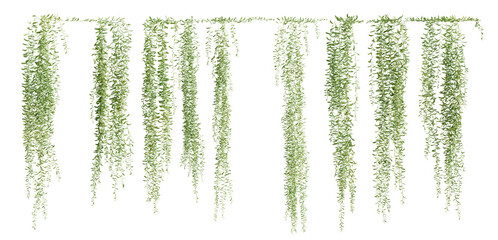 Set of Vernonia Elliptica creeper plant, vol. 2, isolated on transparent background. 3D render. - 605194933