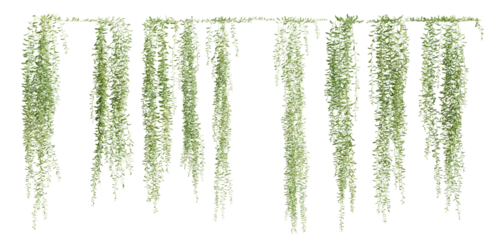 Set of Vernonia Elliptica creeper plant, vol. 2, isolated on transparent background. 3D render.