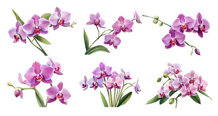 Watercolor orchid set. Generative Ai