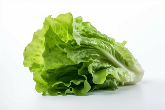 Lettuce leaves cabbage salad. Generate Ai
