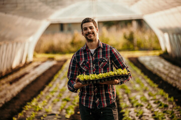 Portrait of a male farmer holding vegetable seedings in the greenhouse.