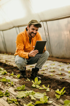 Agriculture, greenhouse farming man on a tablet, monitor plant growth or harvest time.