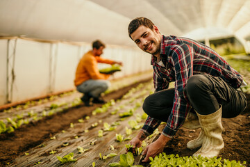 Two men working in the greenhouse taking care of plants organic farm sustainable living. concept real people
