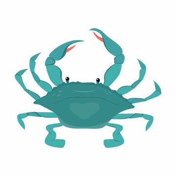 Blue crab isolated on white background. Cartoon vector illustration. Seafood shop logo, signboard, restaurant menu, fish market, banner, poster design template. Fresh seafood or shellfish product.