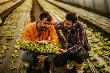 Two male workers planting and examining seedlings in greenhouse.