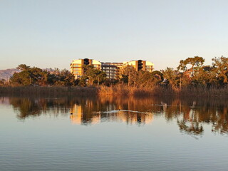 Fototapeta premium Red spring