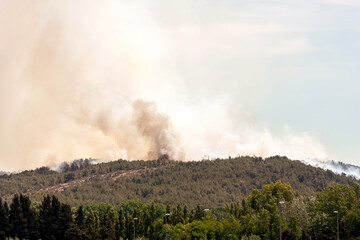 Panache de fumée d'un incendie de forêt