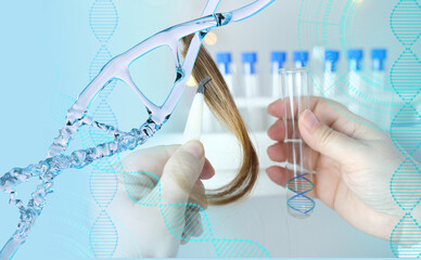 scientist examines hair sample, curls in a package for research by genetic research in laboratory,...