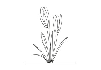 Group of spring crocus flowers in continuous line art drawing style. Black linear sketch on white background. Vector illustration.