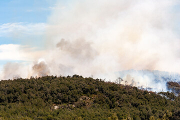 Fototapeta na wymiar Panache de fumée d'un incendie de forêt