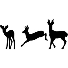 silhouette deer