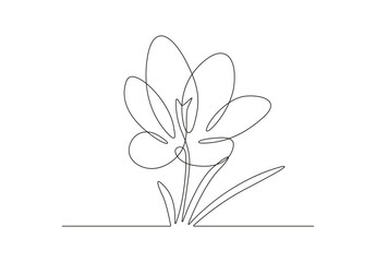 Spring crocus flower in continuous line art drawing style. Minimalist black linear sketch on white background. Vector illustration.