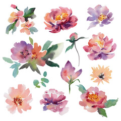 A set of watercolor flowers on an isolated background. Hand illustration. Peonies, anemones, eucalyptus, apple blossom. Wedding.