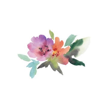 Watercolor flowers on an isolated background. Handmade work. Colorful illustration. Wedding. Apple blossom, peonies, roses.