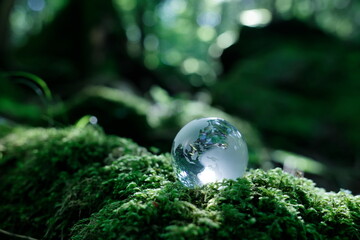 エコイメージ　森林　ガラスの地球