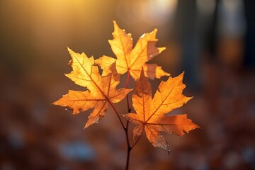 Naklejka na ściany i meble A close-up shot of beautiful maple leaves in autumn on a sunny day. Generative Ai. 