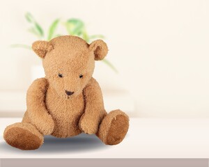 Soft fluffy cute toy on home background
