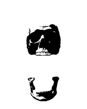 White Black Skull Jaw Dropping Open Teeth Punk Style Print Symbol Shape Graphic illustration