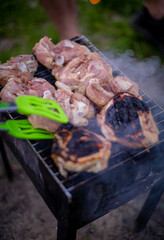 grilled meat on the grill